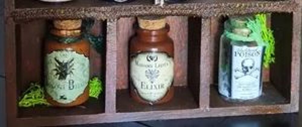 Petit cabinet de curiosit&eacute;s Décoration