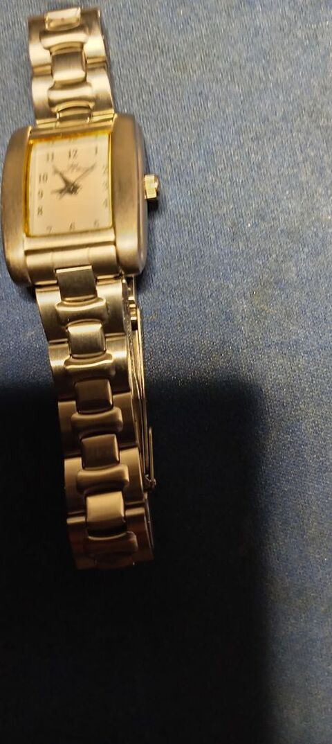 Montre femme 100 Saint-Cyr-sur-Loire (37)