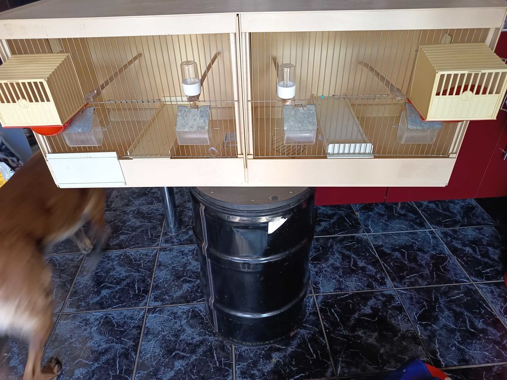cage pvc Jardin