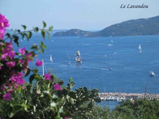 Location  Appartement 