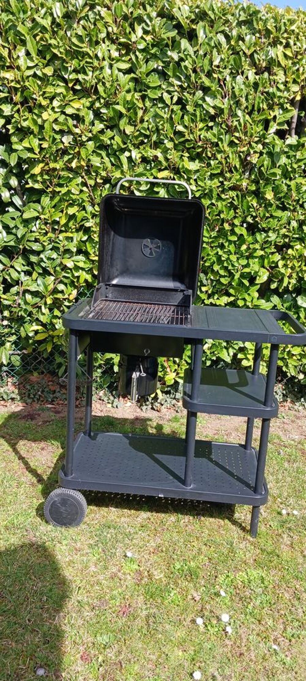 Barbecue Jardin