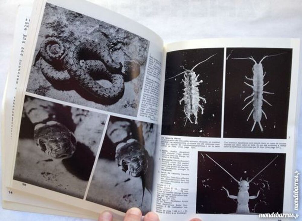 photo cin&eacute; macrographie Livres et BD