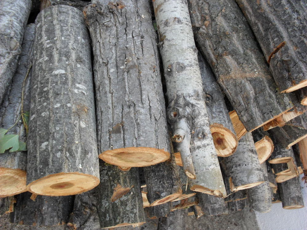 R&eacute;cup&egrave;re bois vert ou sec (branche ou tronc) &agrave; fendre Jardin