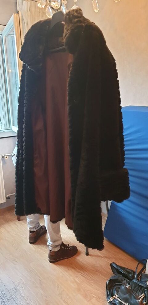 manteau de fourrure vison 350 Saint-André-de-Corcy (01)