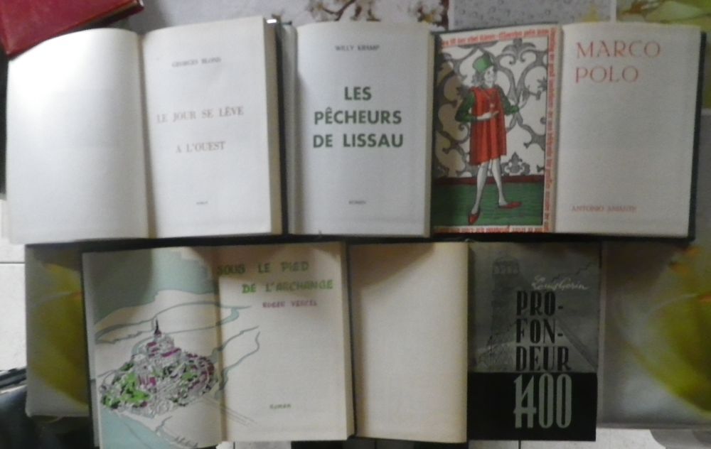 LOT DE 5 ROMANS RELIES (d&eacute;tails dans l'annonce) Livres et BD