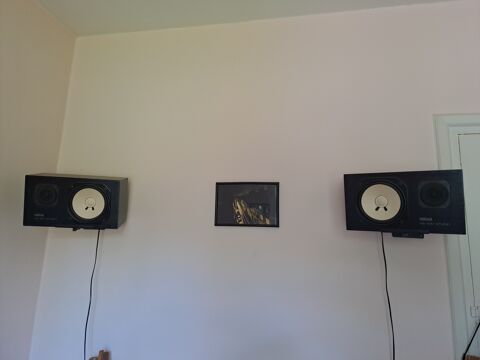 enceintes studio NST 10M rare et trs bon tat avec supports 350 Lyon 3 (69)