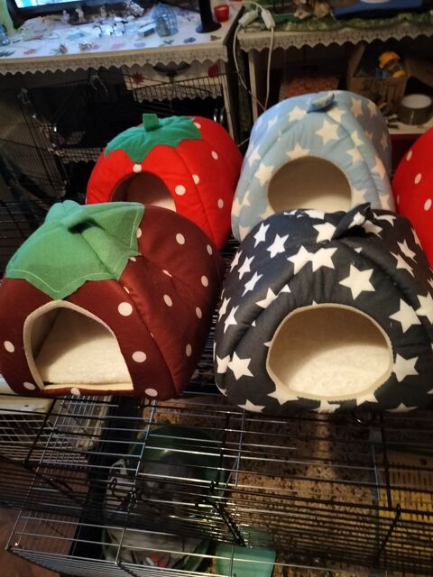 Jolie panier pour rongeurs. 0 77280 Othis