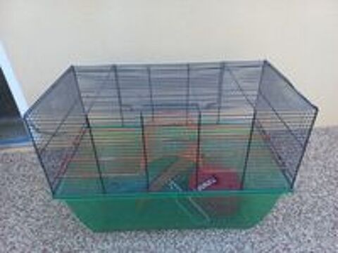   Cage rongeur  