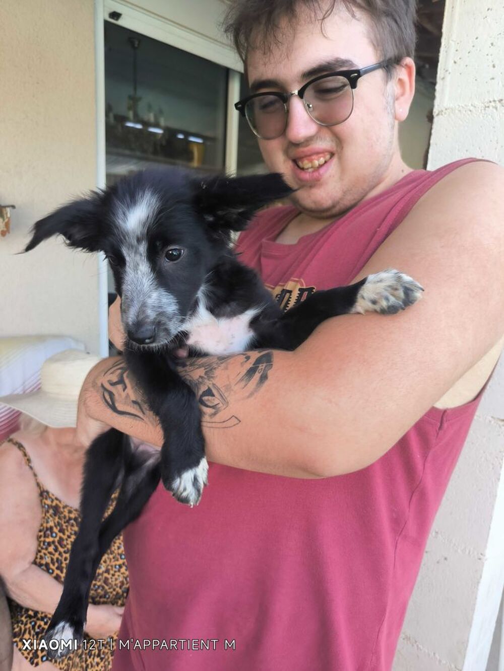 donne chiot border collie avant le 10.10.26 Jardin