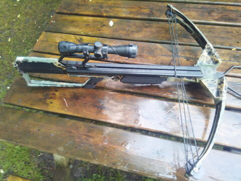 Arbalete a poulies BARNETT Quad 300 300 Pissos (40)