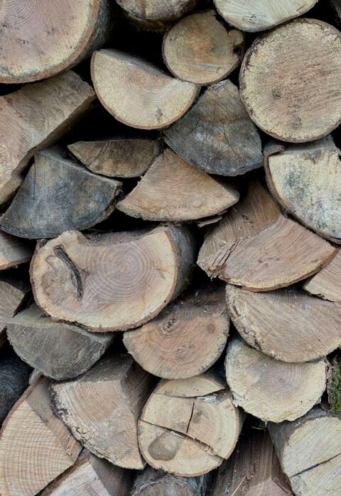 Bois de chauffage / Bois restaurant 55 Fontainebleau (77)