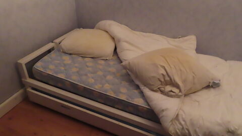 lit enfant , avec tiroir en dessous 0 Jassans-Riottier (01)