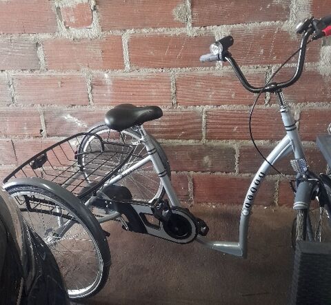 Velo tricycle 0 D�sertines (03)