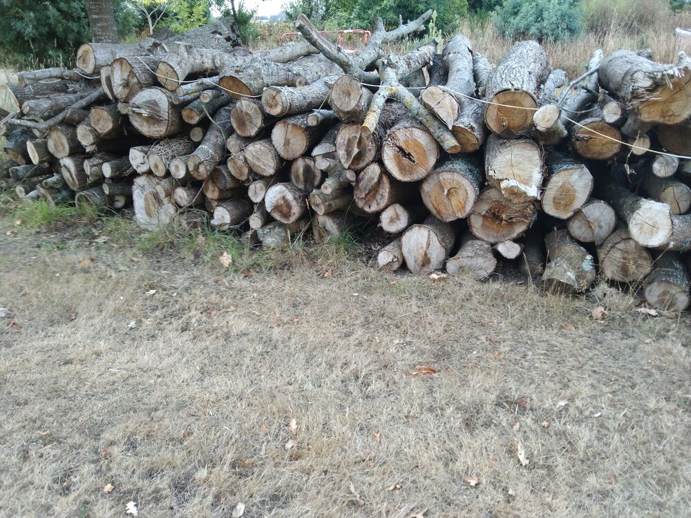 Bois de chauffage Bricolage
