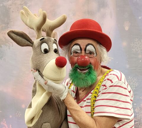 ANIMATION SPECTACLE POUR NOËL 0 10000 Troyes