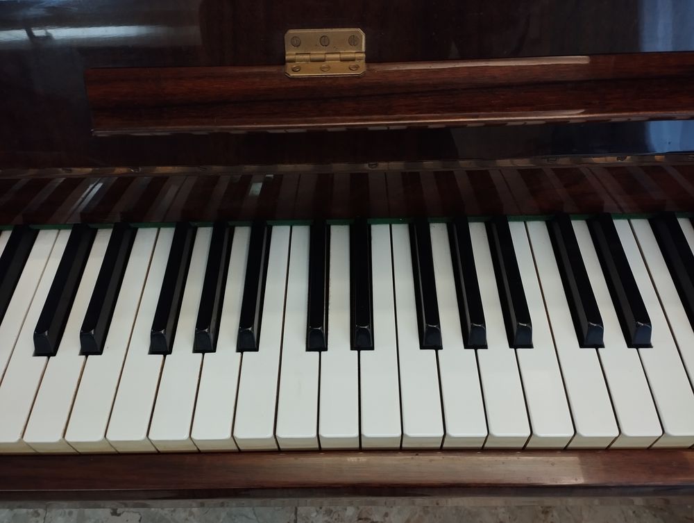 Piano droit Rieger Kloss 88 touches Instruments de musique