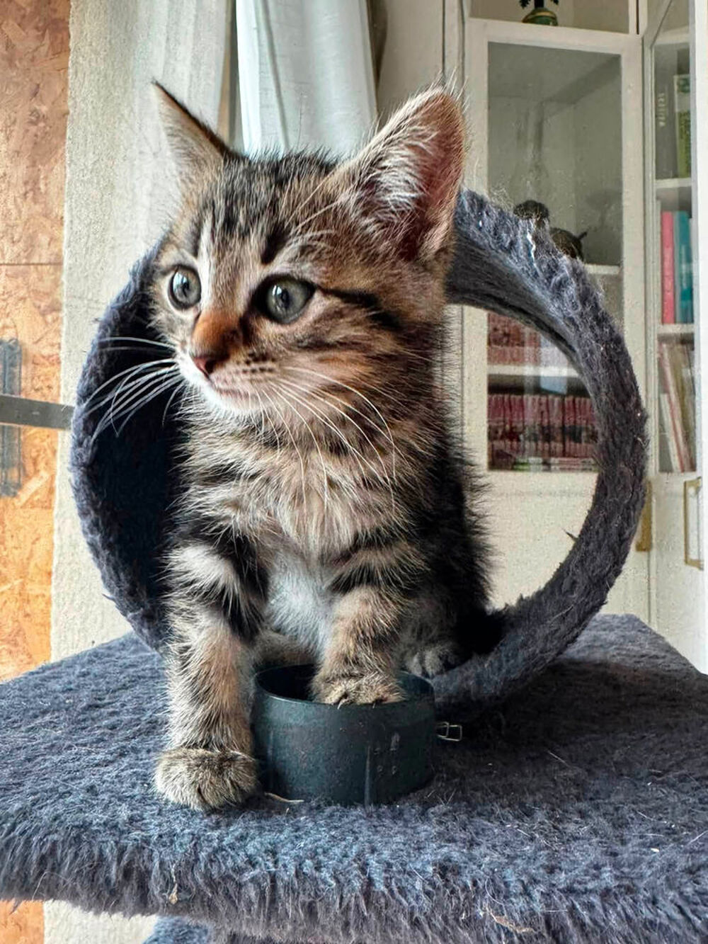   JAVA 
