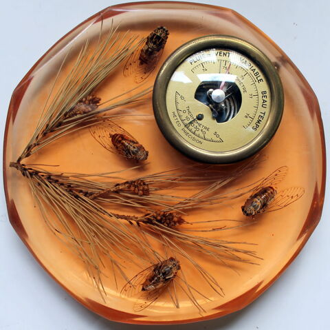 Barom�tre inclusion cigales et pin vintage 1960 35 Issy-les-Moulineaux (92)