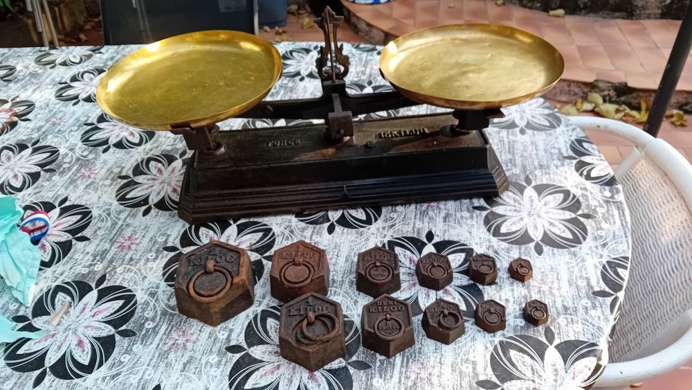 BALANCE A PLATEAUX FORCE 15 KG AVEC SERIE POIDS EN FONTE 