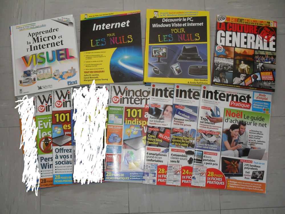 lot Livres et revues informatique internet pc micro Livres et BD