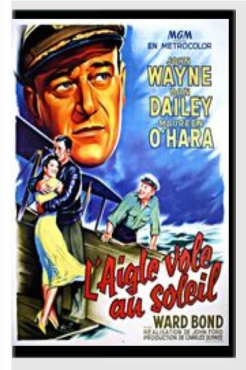 L AIGLE VOLE AU SOLEIL film 0 Dunkerque (59)