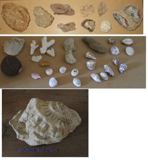 Diff�rents min�raux. 0 Saint-Yrieix-la-Perche (87)