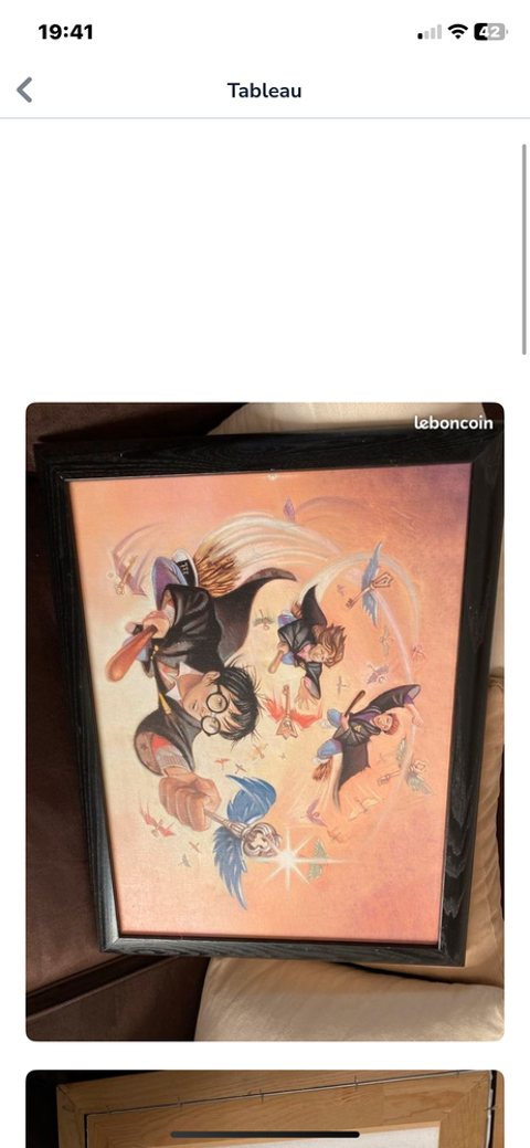 Toile harry Potter 30 Chartres (28)