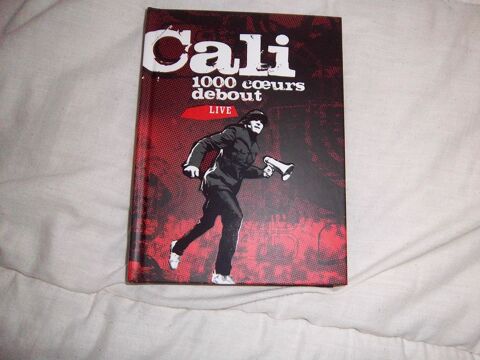 DVD Concert Cali 4 Bossay-sur-Claise (37)