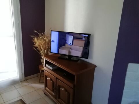 Téléviseur Savigneux (42)