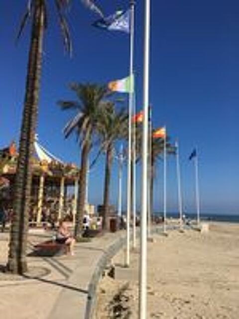  2019 occasion 66140 Canet-en-Roussillon