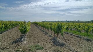  Terrain � vendre 40000 m�