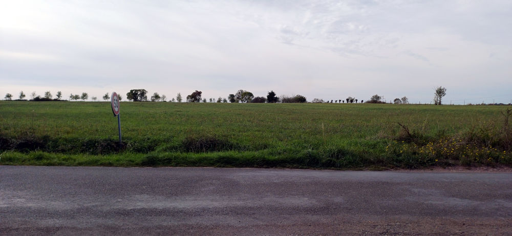 Vente Terrain GRAND TERRAIN DE LOISIR 8000 m² DE NATURE PROCHE ANCENIS Mésanger