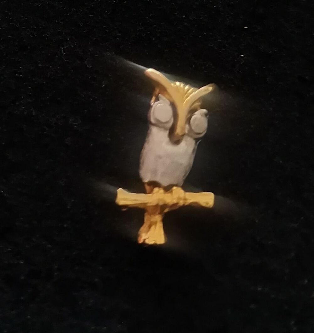 Beau pin's chouette Bijoux et montres