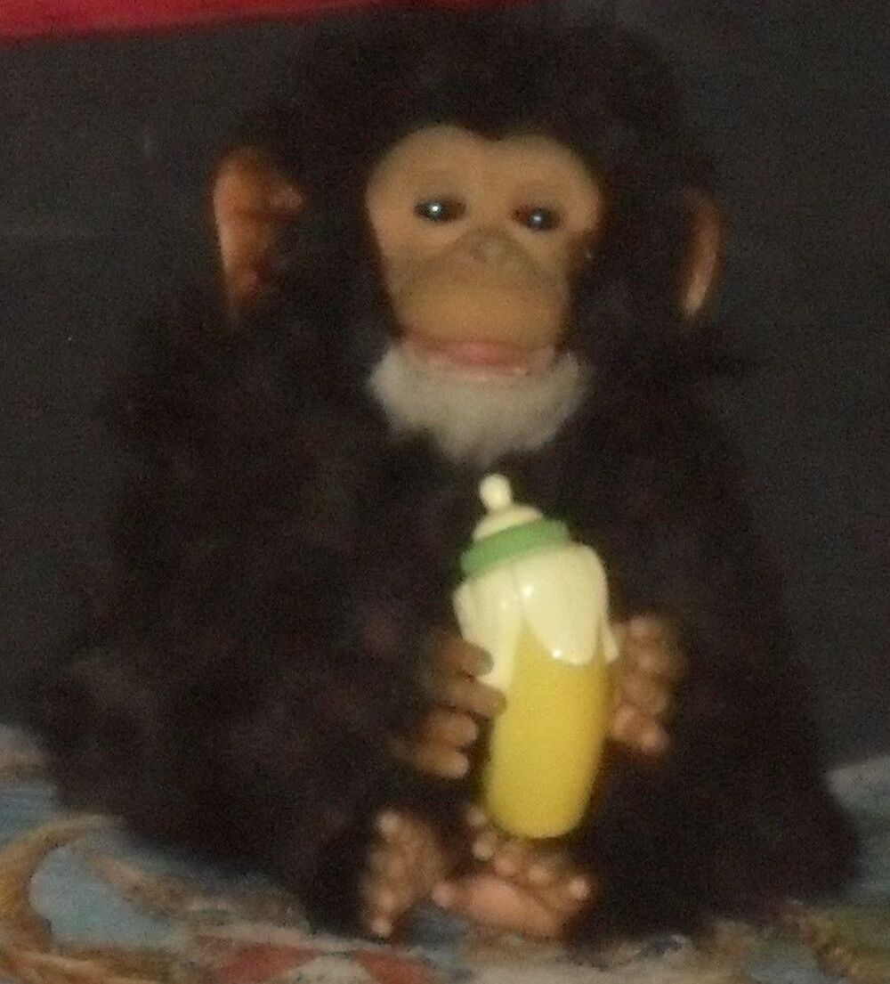 Peluche b&eacute;b&eacute; Gorille avec biberon Jeux / jouets