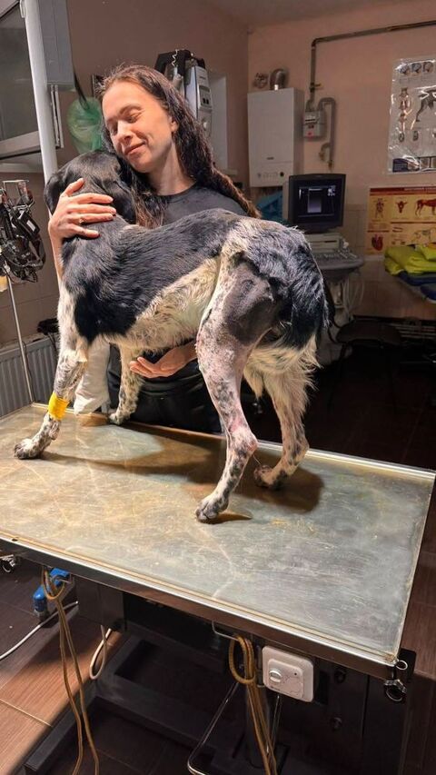 ZEUS actuellemt e'n ukraine 0 75018 Paris