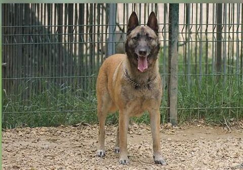 Orka 230 26700 Pierrelatte