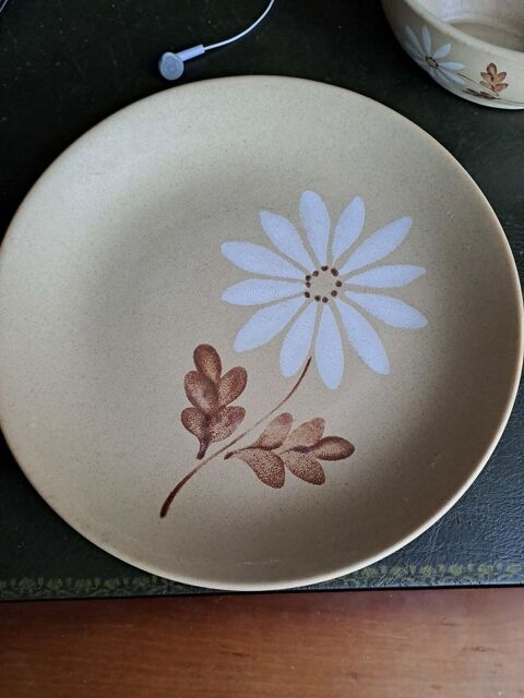 Lot d'assiettes 15 Tremblay-en-France (93)