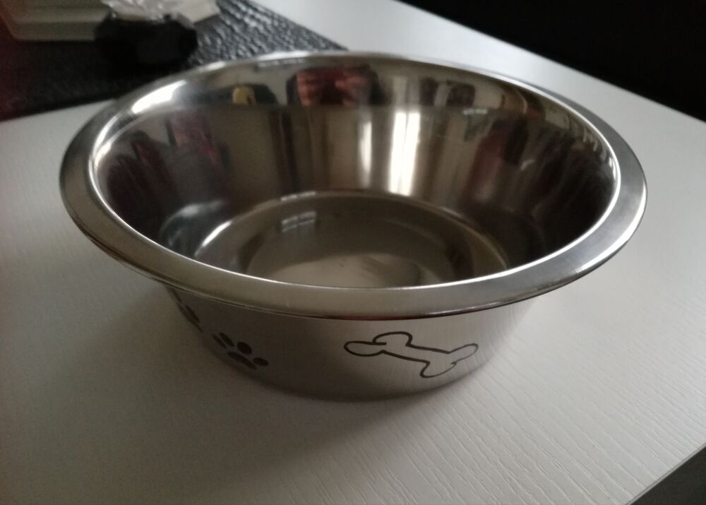 Gamelle pour chien Cuisine