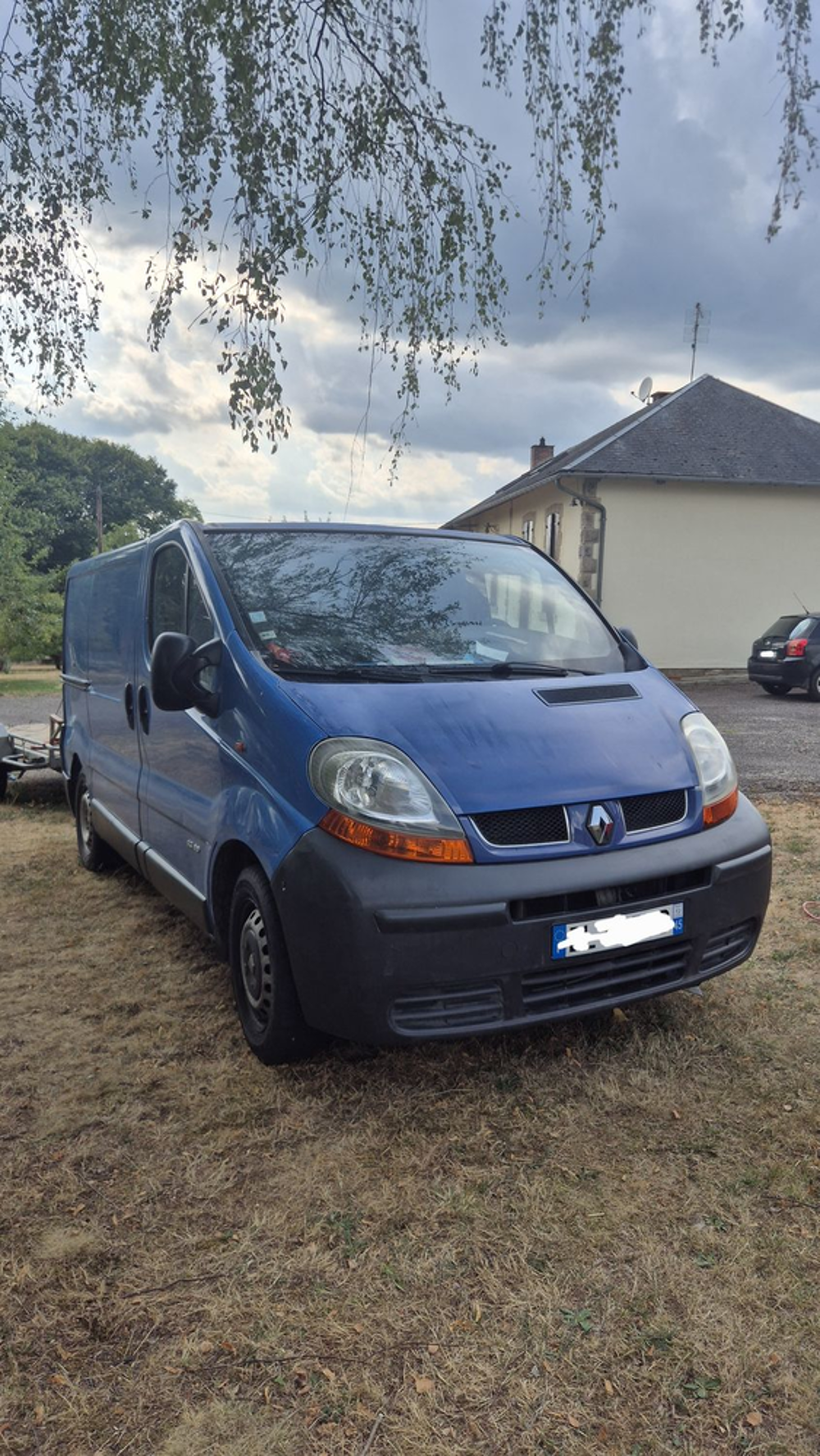 Trafic TRAFIC CA 1.9 DCI 100 L1H1 1000 KG CONFORT 2003 occasion 87380 Magnac-Bourg