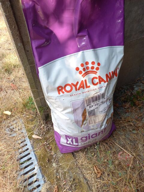 Croquettes Royal Canin G&eacute;ant 120 44170 Nozay