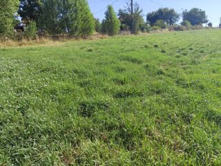  Terrain à vendre 800 m²