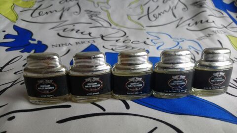 MINIATURES DE PARFUM 4 Trouy (18)