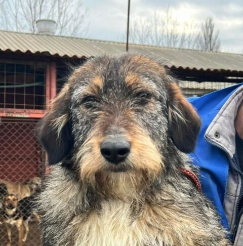 LILLY 300 27620 Gasny