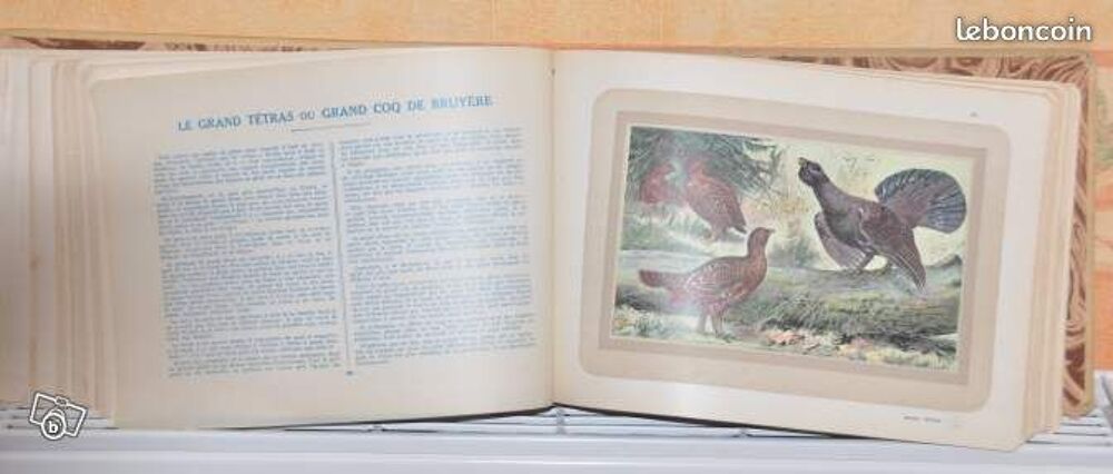 Livre de collection
