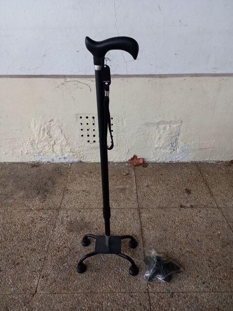 Canne de marche 10 Bassens (33)