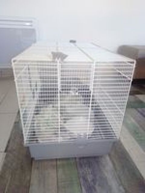   cage a oiseaux 