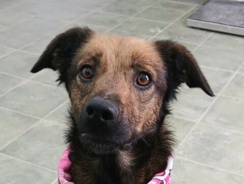 MARINA 320 27620 Gasny