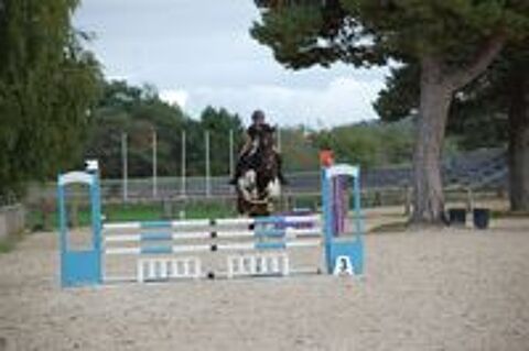   JOLIE JUMENT PP PLEINE 