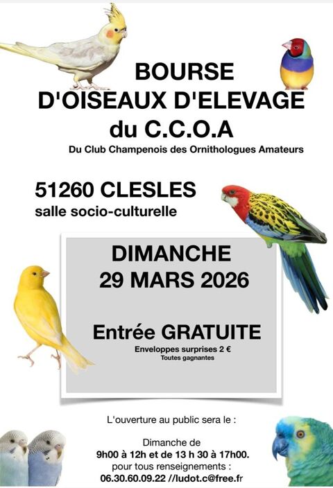 bourse oiseaux d'elevage exotiques du club  C.C.O.A 0 51130 Villeseneux