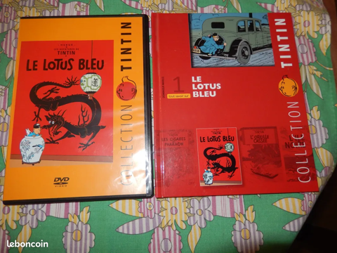 Les aventures de Tintin en DVD couleur 10 Saint-Jean-de-Losne (21)